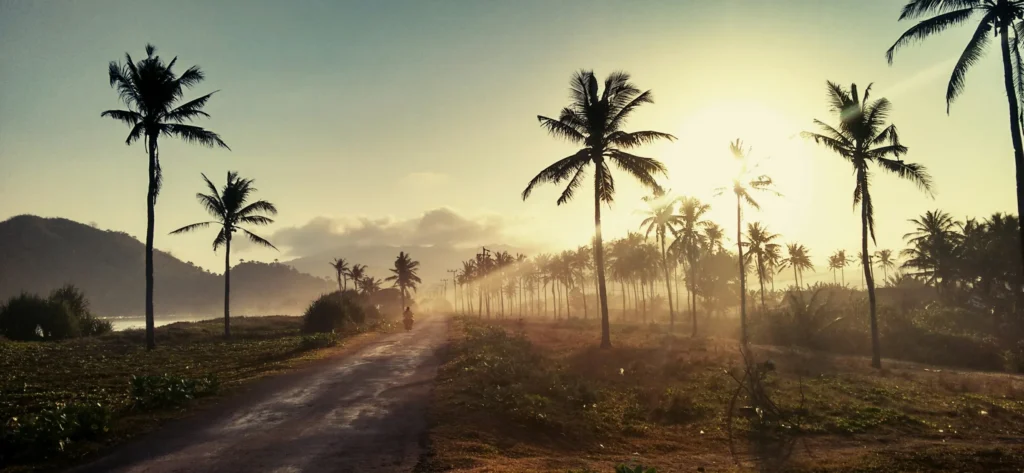 インドネシアの風景