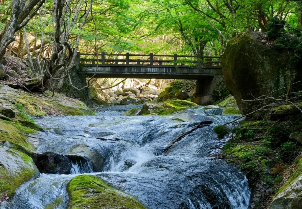 川の流れのイメージ