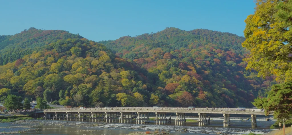 森や山のイメージ