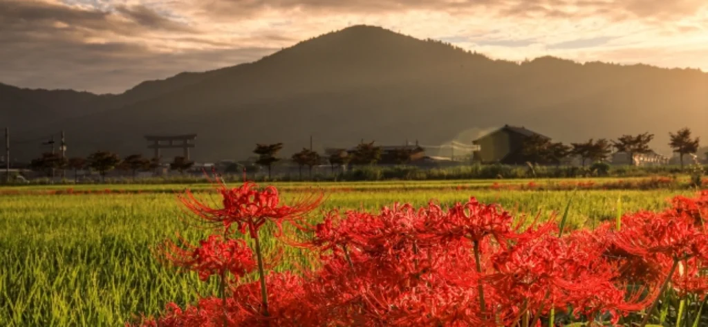 奈良県の三輪山