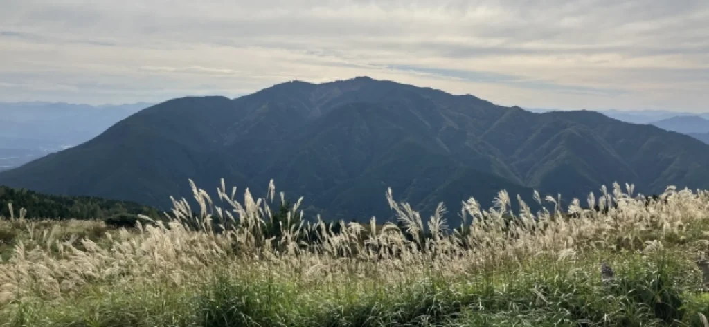 奈良県の葛城山