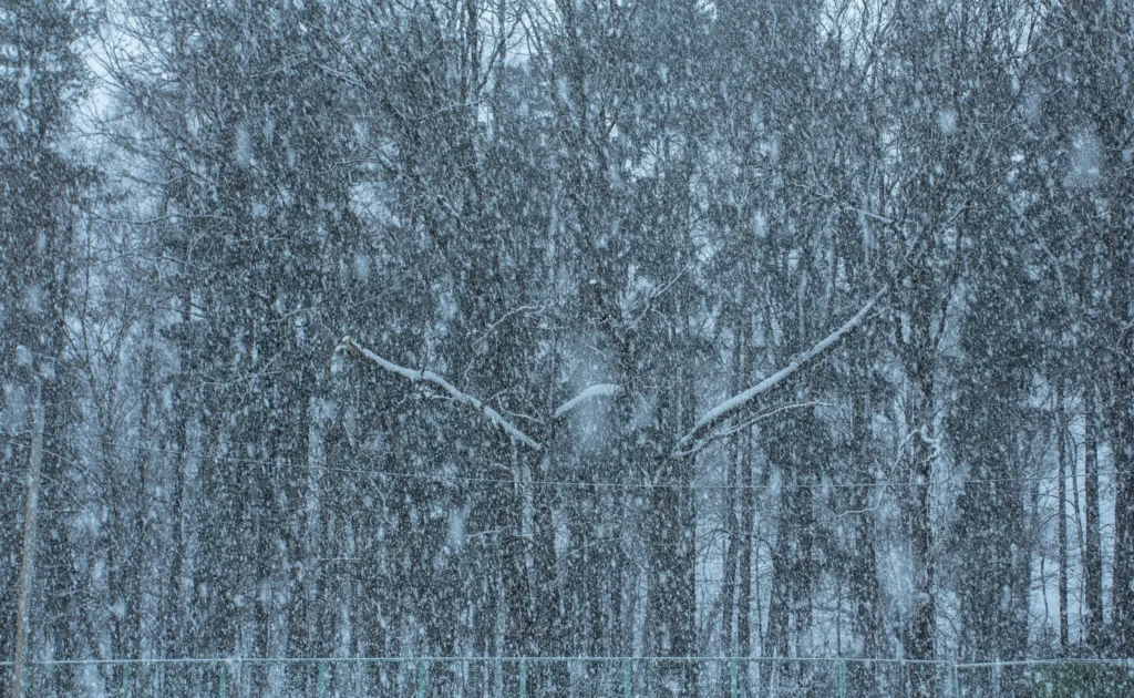 吹雪のイメージ