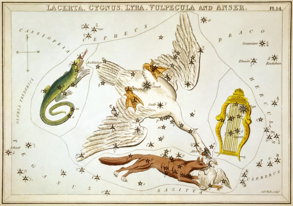 星座カードのセット「ウラニアの鏡」に描かれたはくちょう座1825年頃