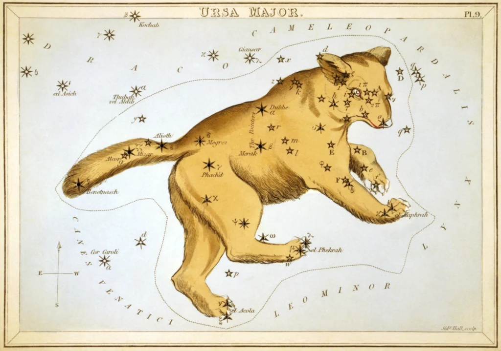 星座カードのセット「ウラニアの鏡」に描かれたおおぐま座1825年頃