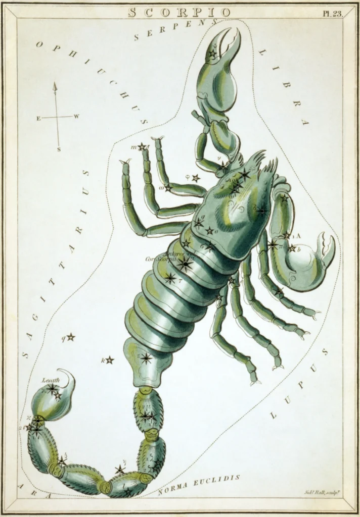 星座カードのセット「ウラニアの鏡」に描かれたさそり座1825年頃