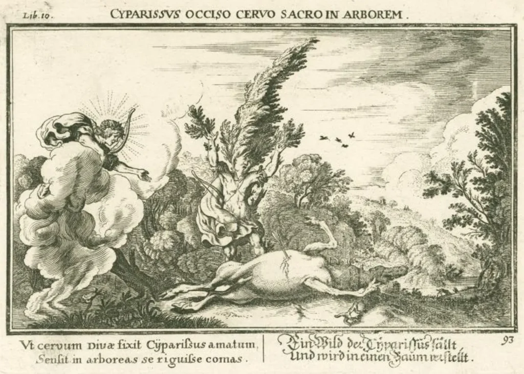 Baur, Joh. Wilhelm『Cyparissus occiso ceruo sacro in arborem』1700年頃