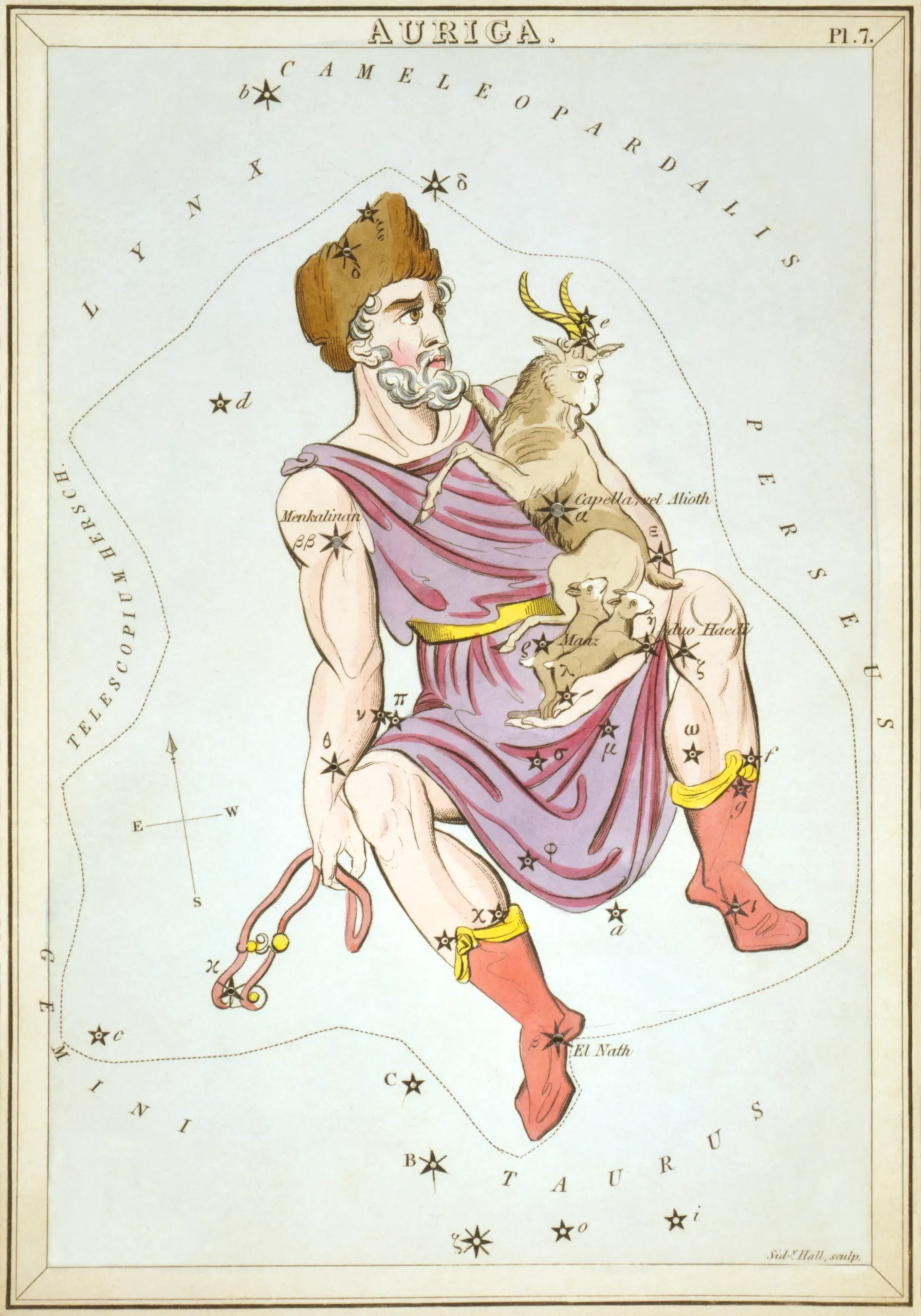 星座カードのセット「ウラニアの鏡」に描かれたぎょしゃ座1825年頃