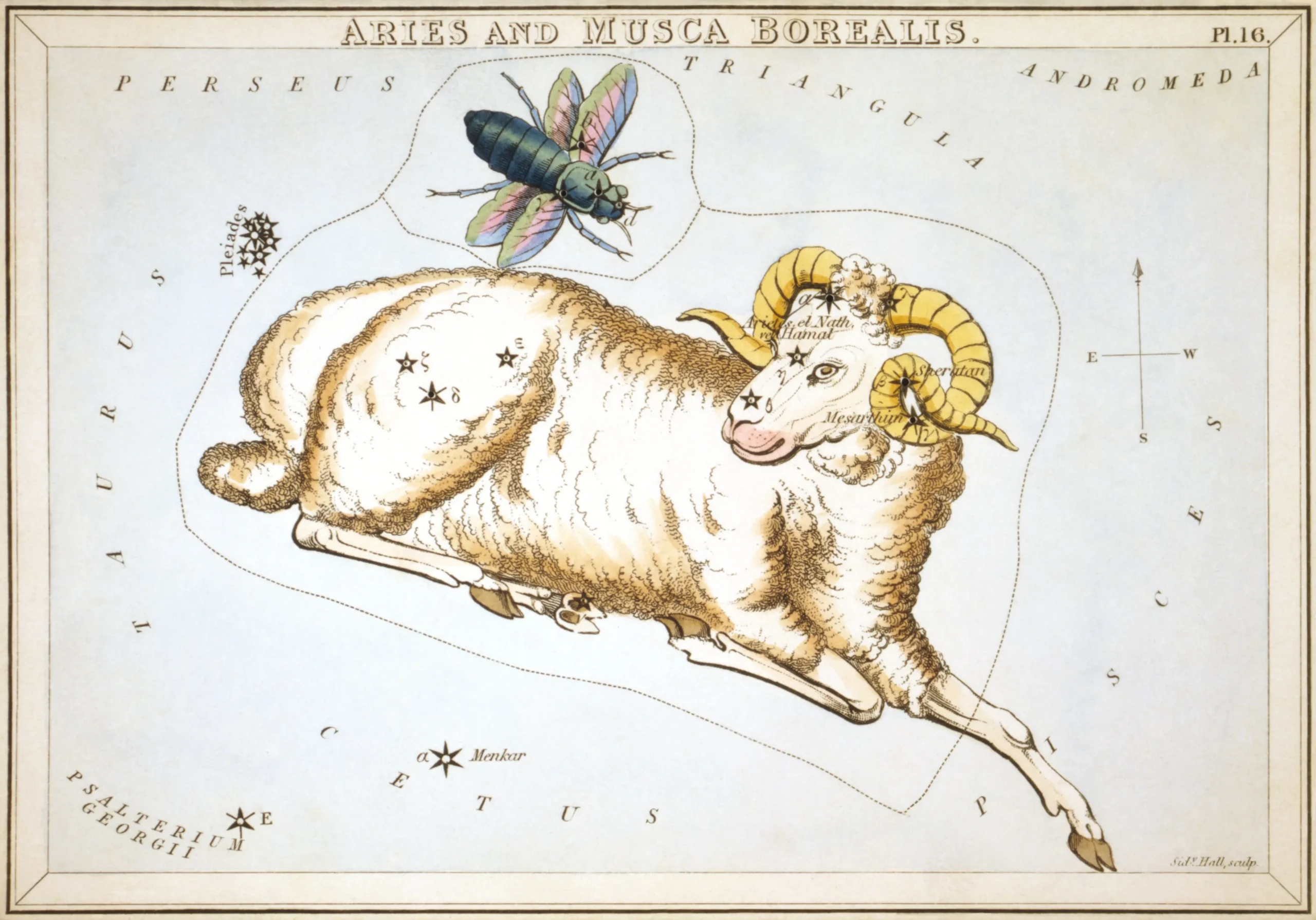 星座カードのセット「ウラニアの鏡」に描かれたおひつじ座1825年頃