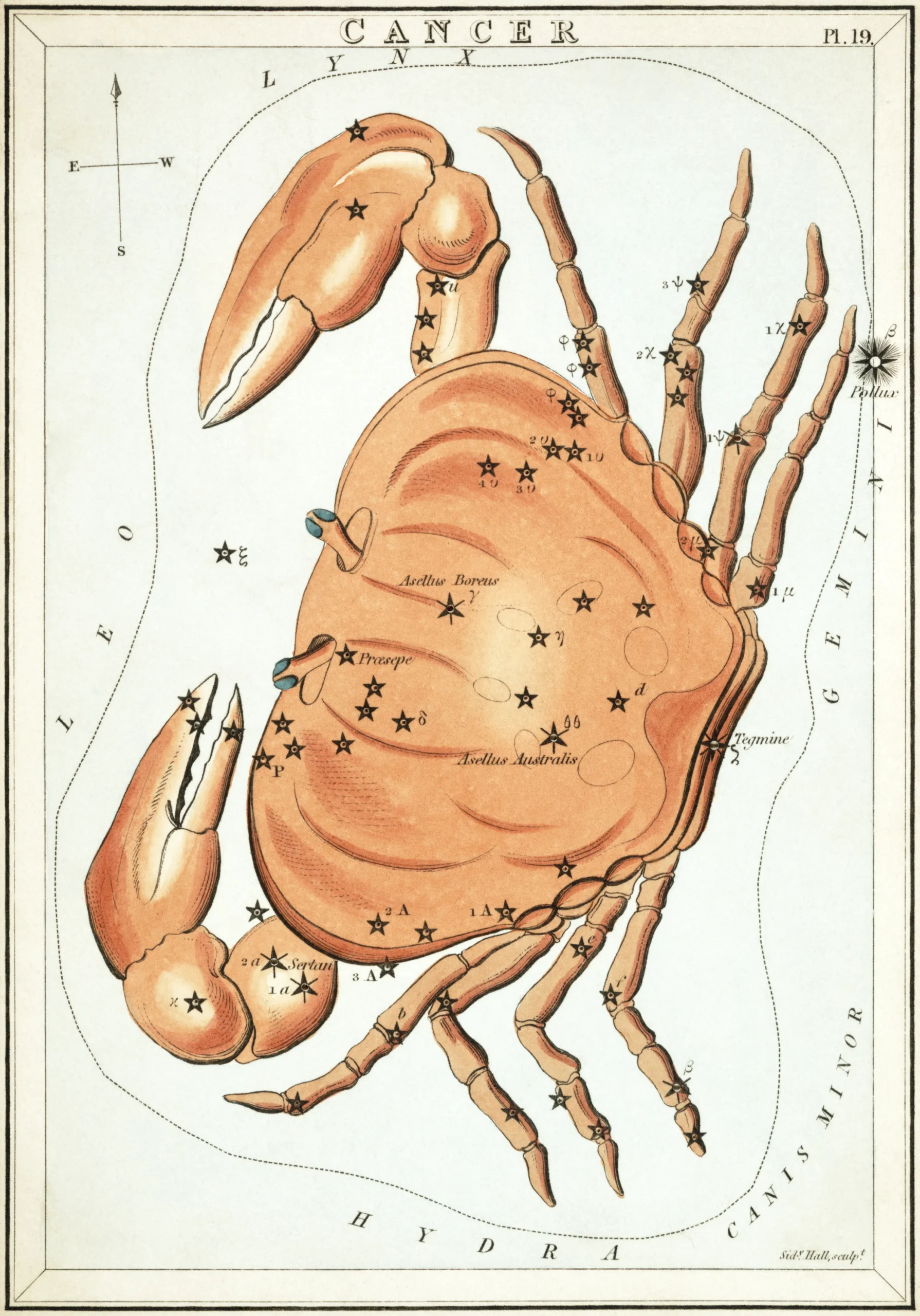 星座カードのセット「ウラニアの鏡」に描かれたかに座1825年頃