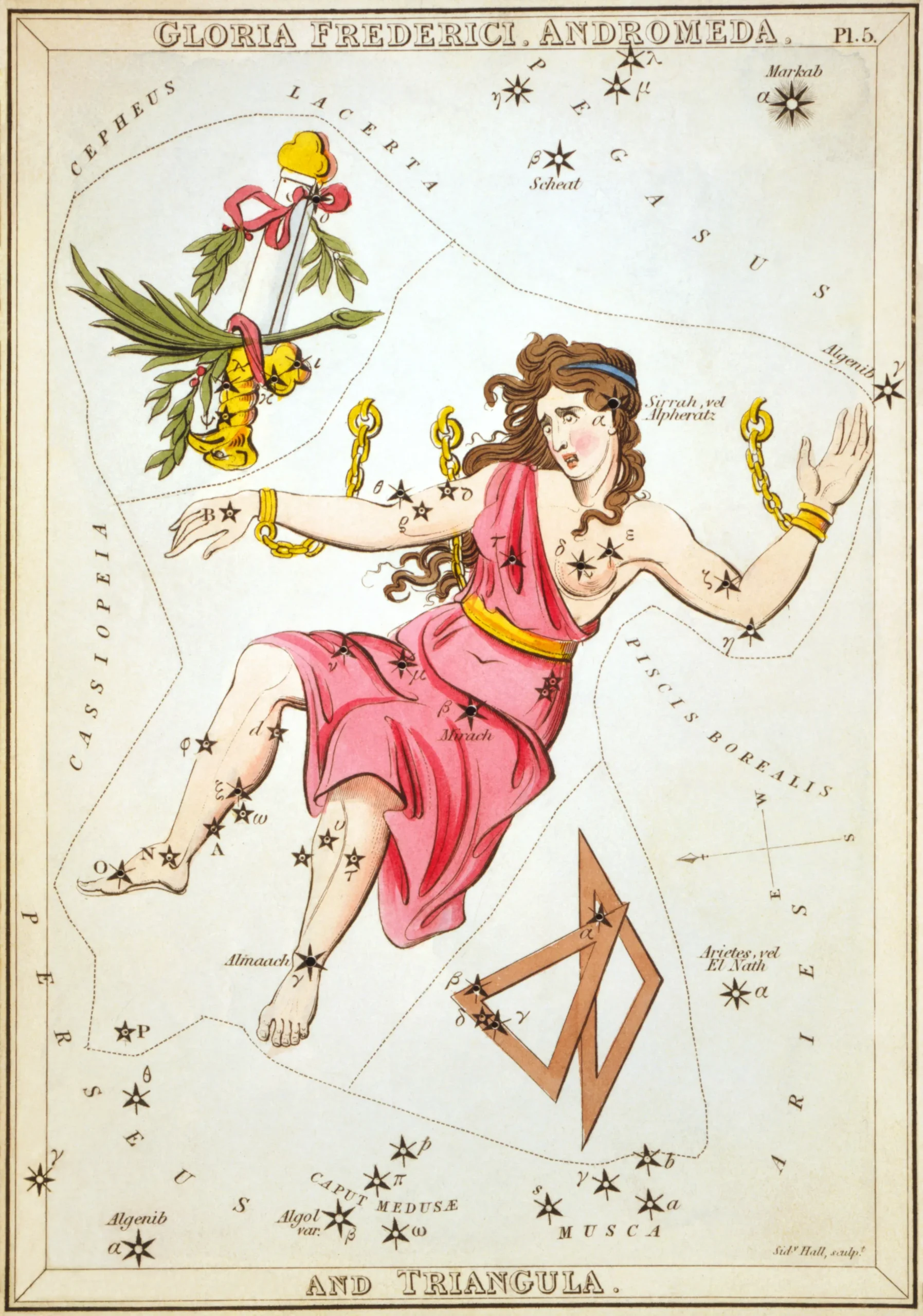 星座カードのセット「ウラニアの鏡」に描かれたアンドロメダ座1825年頃