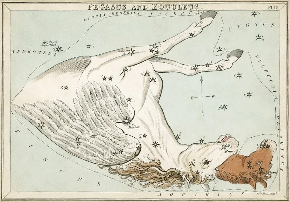 星座カードのセット「ウラニアの鏡」に描かれたペガサス座1825年頃
