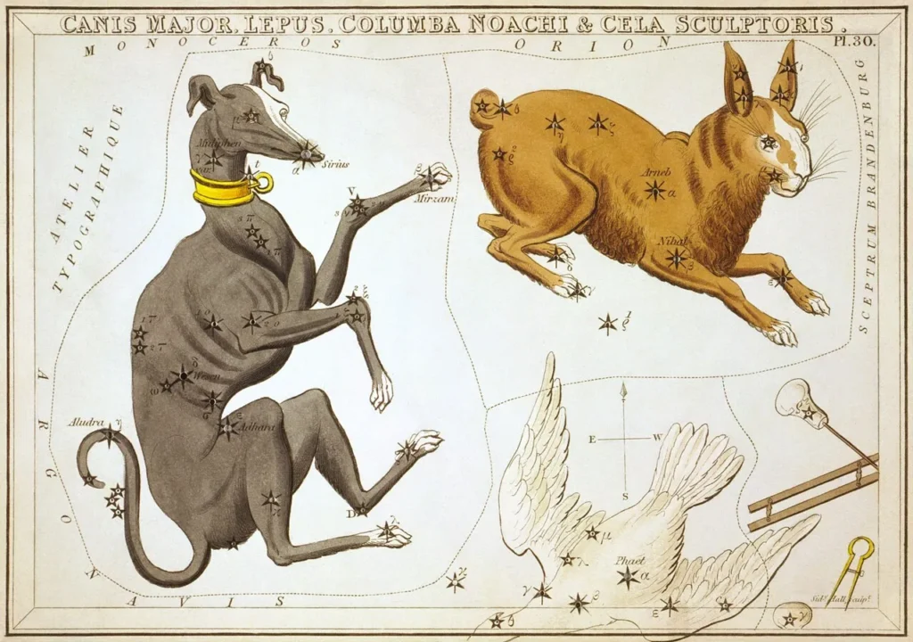 星座カードのセット「ウラニアの鏡」に描かれたおおいぬ座1825年頃