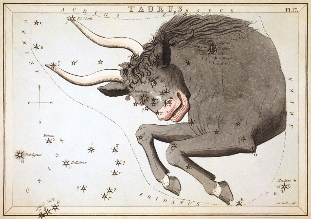 星座カードのセット「ウラニアの鏡」に描かれたおうし座1825年頃