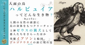 人面の鳥ハルピュイア
