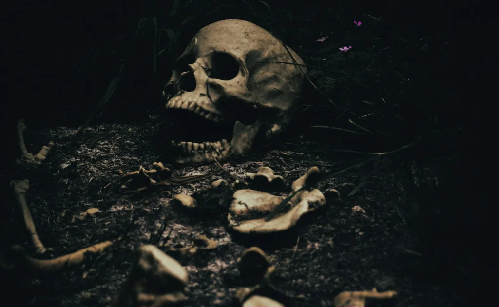 亡骸のイメージ