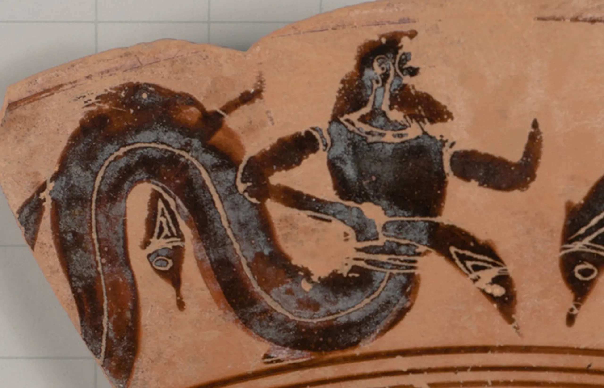 テラコッタの破片に描かれたネレウス 紀元前6世紀半ば