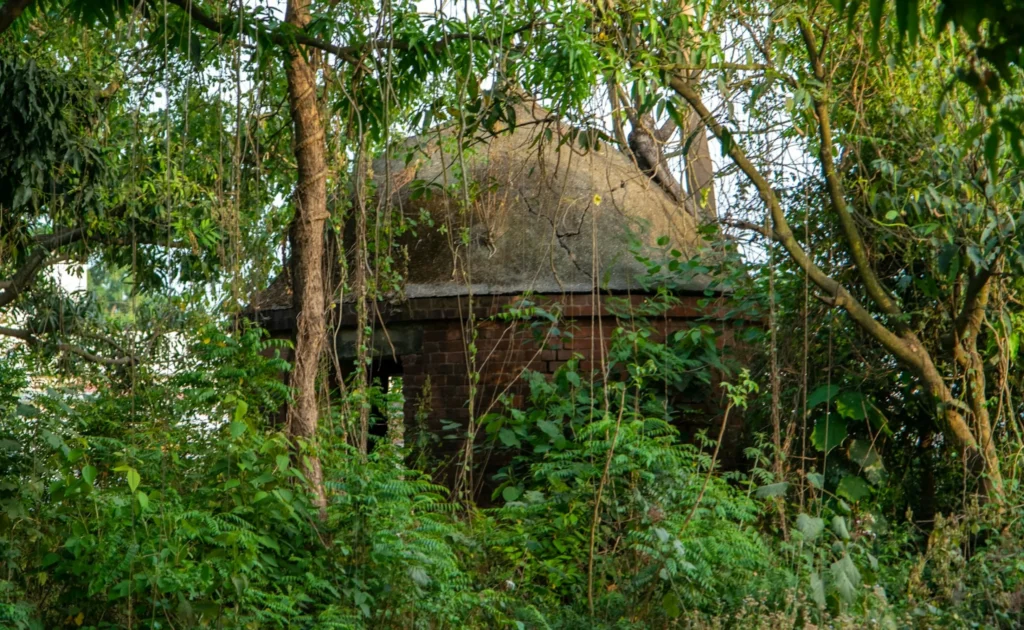 部族の屋敷のイメージ