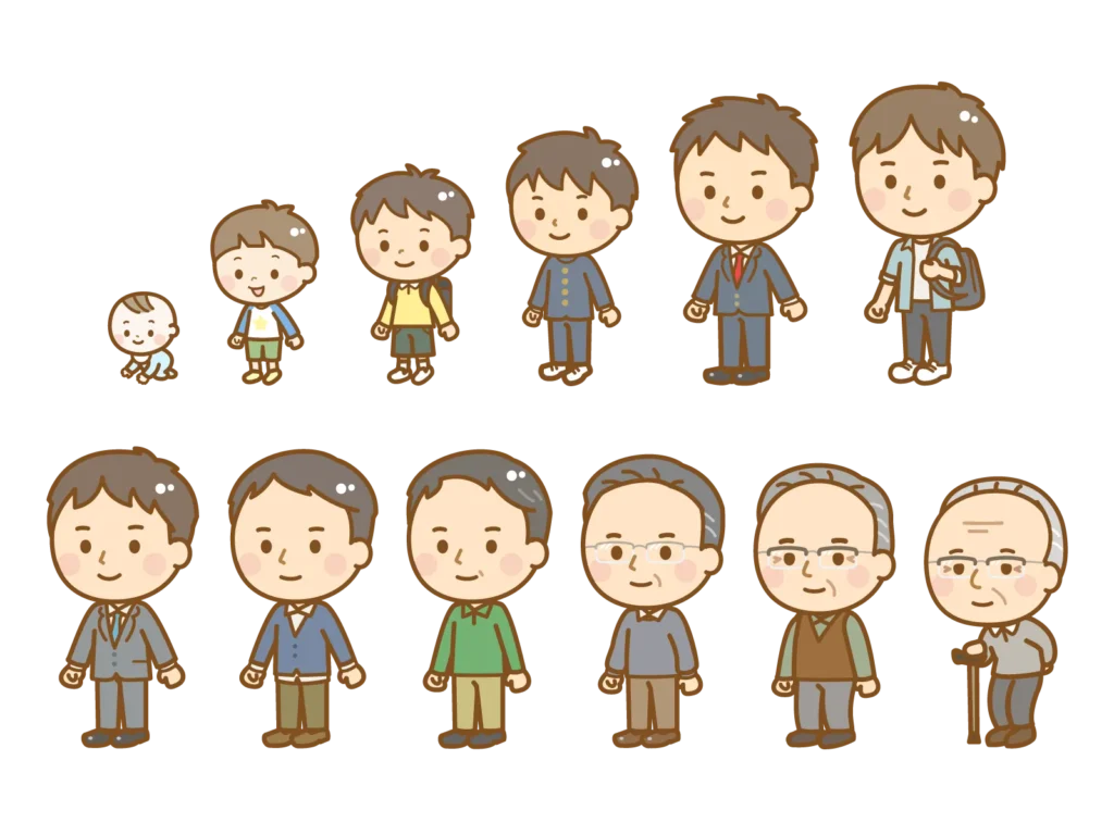 人間の成長過程