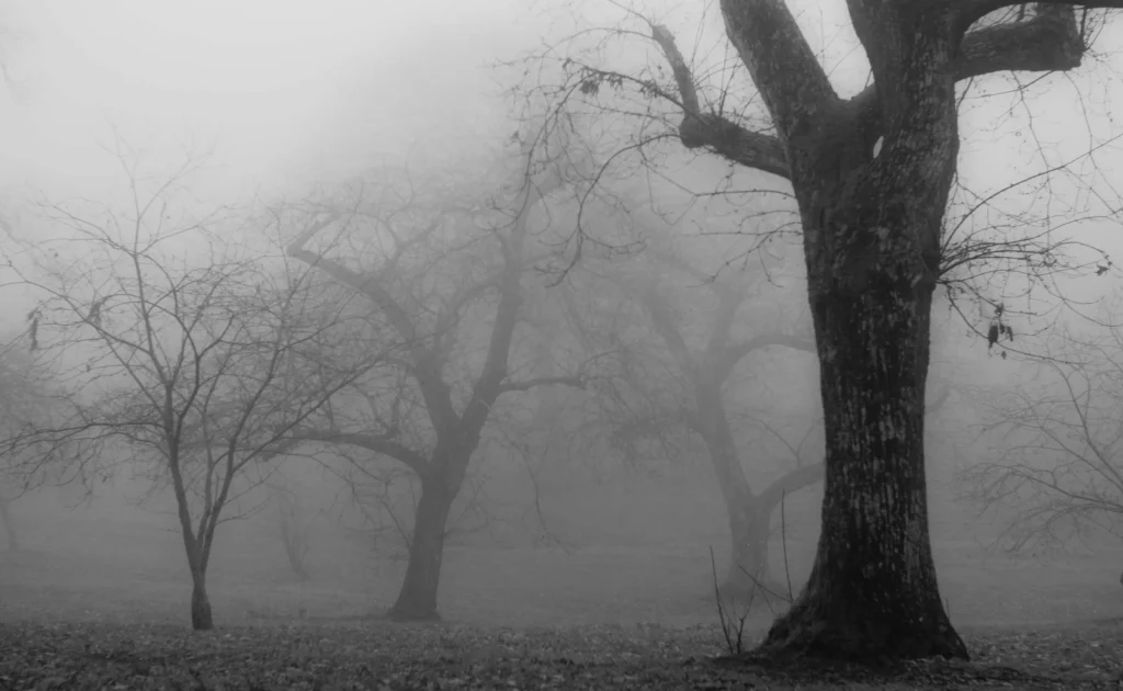 荒廃のイメージ