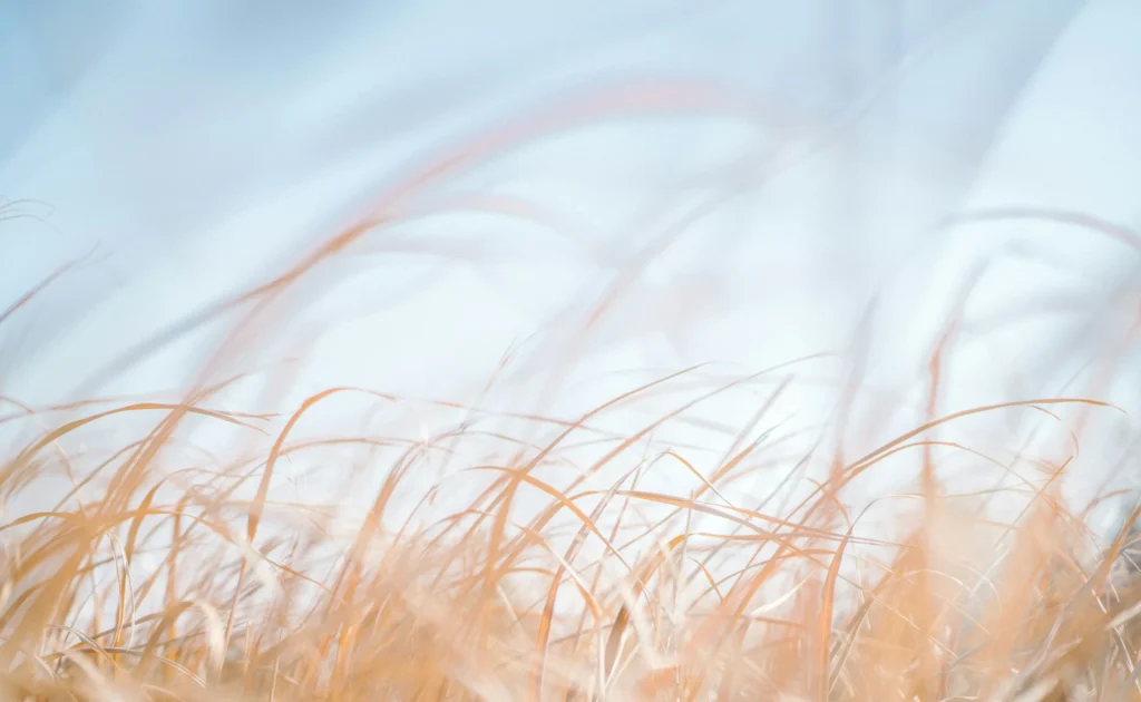 空気のイメージ