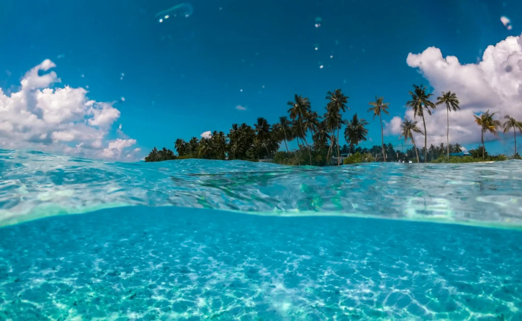 南の島のイメージ