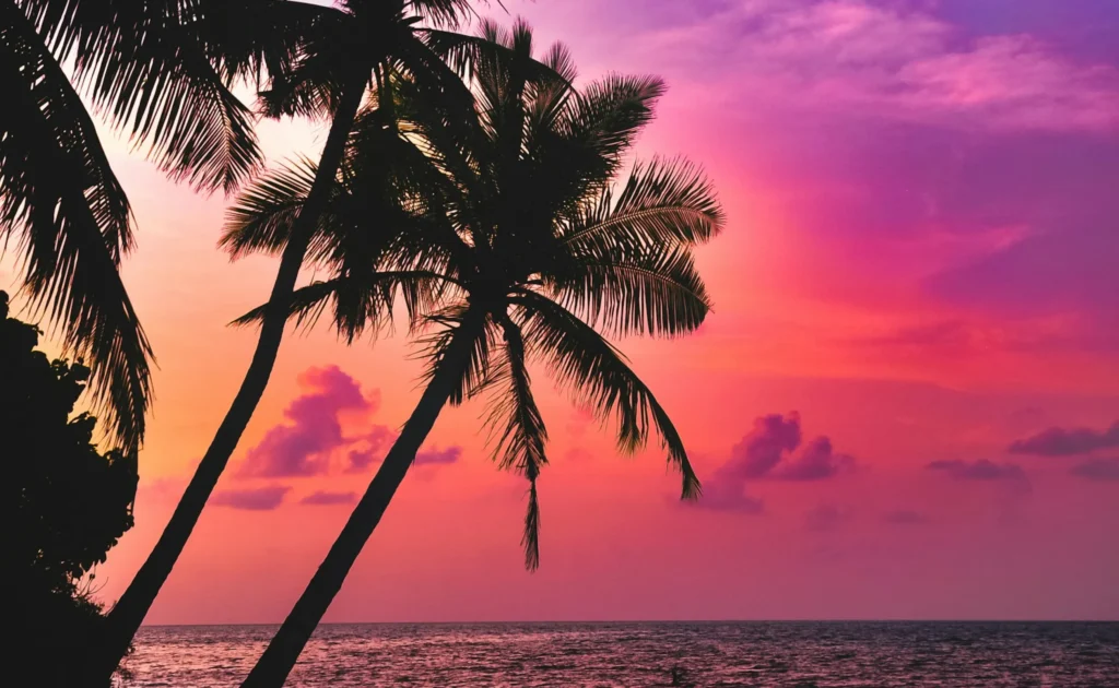 南の島のイメージ