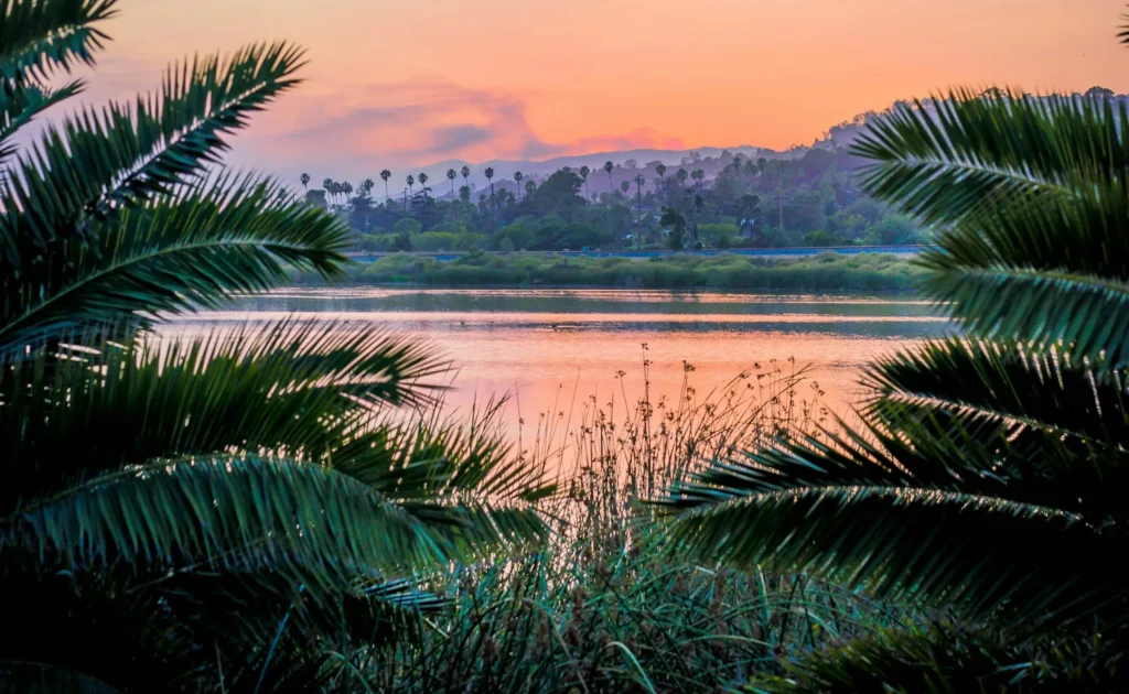 南の島のイメージ