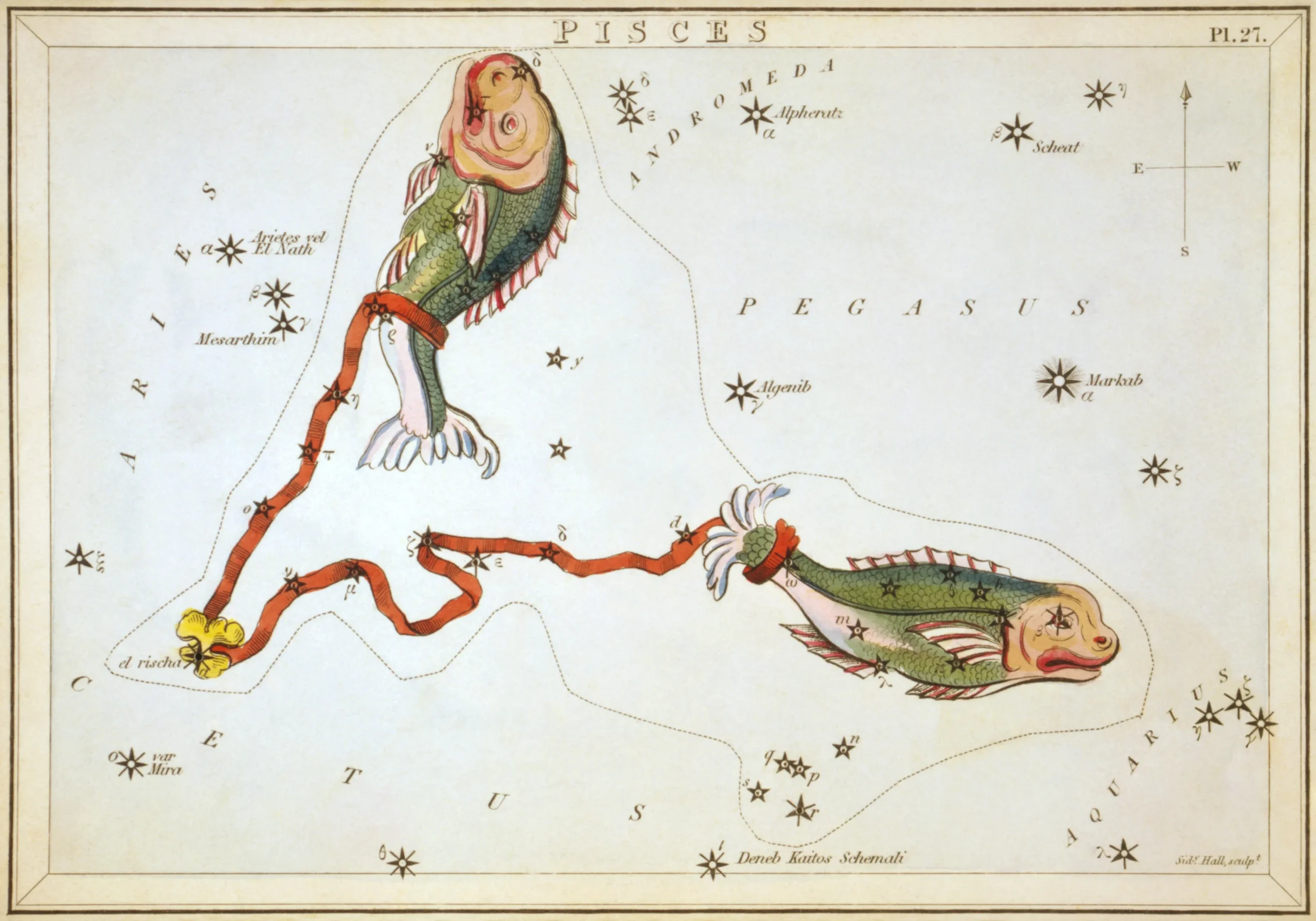 星座カードのセット「ウラニアの鏡」に描かれたうお座1825年頃